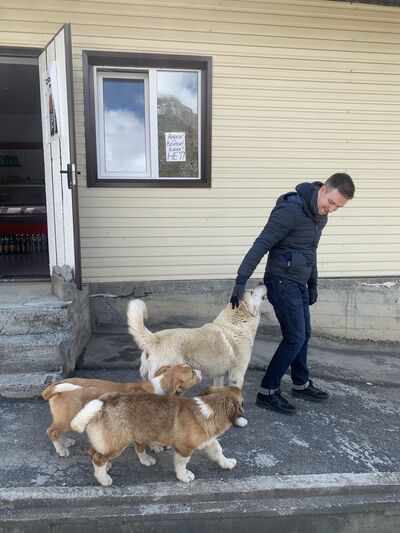  ,   Aleksey, 32 ,   ,   