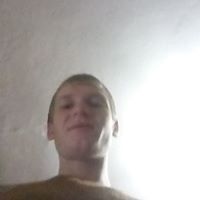  13464062  , 29 ,    