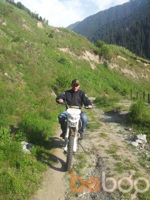 ���������� ������, ���� ������� Shura, 38 ���, ������������ ��� ������, ����� � ���������, c�������� ���������