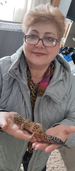  ,   , 56 ,   ,   