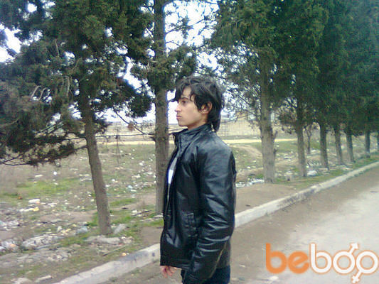  ,   Xayal, 31 ,   ,   , c 