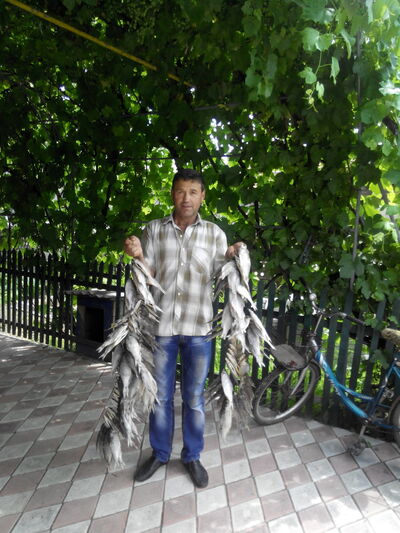  ,   , 57 ,   