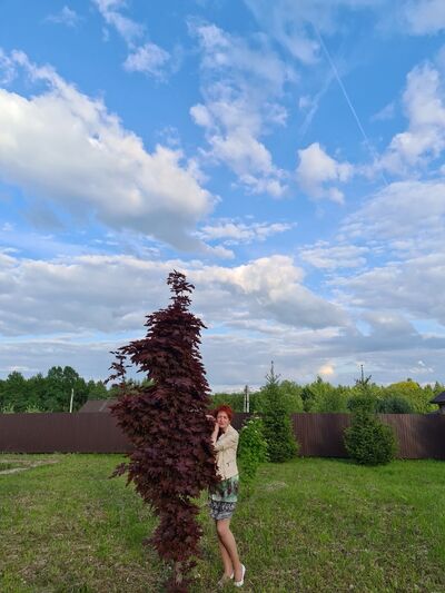  ,   , 53 ,   ,   , c 