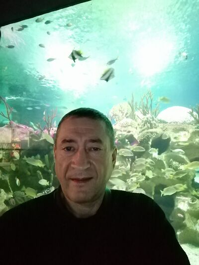 ,   , 51 ,   , 