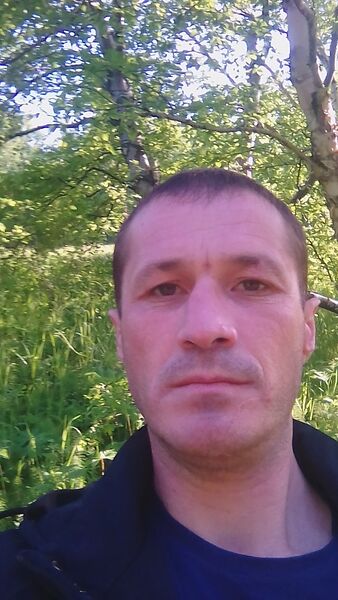  -,   , 41 ,   ,   