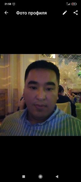  -,   Zamir, 41 ,   ,   , c 