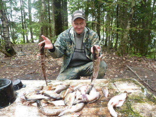   ,   Ochotnik, 65 ,  