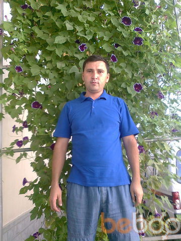  ,   , 44 ,  