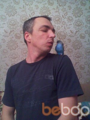  ,   , 49 ,   