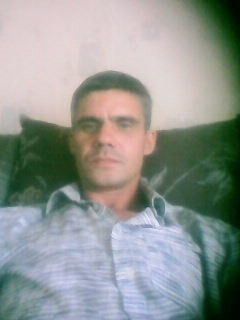  6397512  , 50 ,    