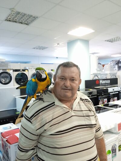  ,   , 64 ,   c 