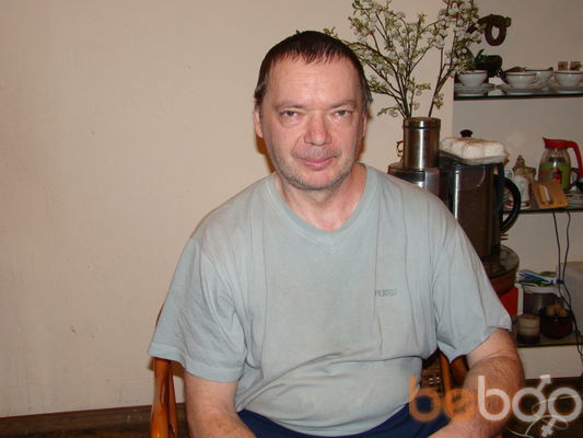  3981662  , 66 ,    
