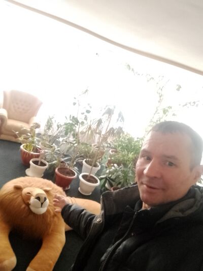  ,   , 41 ,   ,   