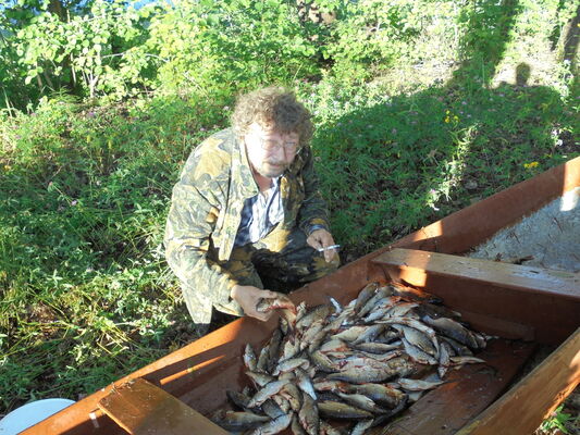  ,   Alexsandr, 62 ,   ,   , 