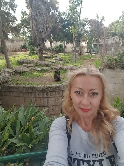  ,   , 50 ,  
