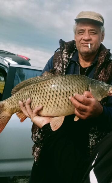  ,   , 62 ,     