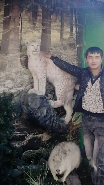  ,   , 36 ,   ,   , 