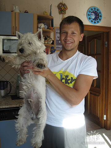 ,   Dima, 37 ,   ,   , c 