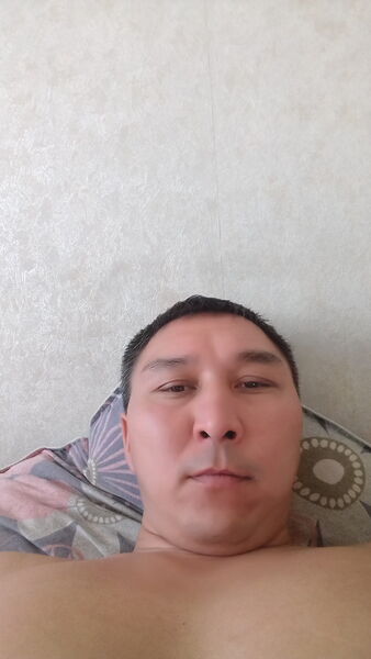  -,   , 41 ,   ,   , c 