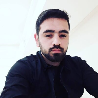  ,   Pet, 31 ,   