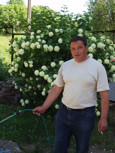  ,   , 64 ,   