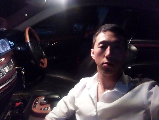  ,   Maksi, 31 ,   ,   , c 