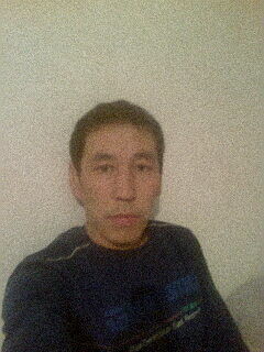  -,   , 41 ,   