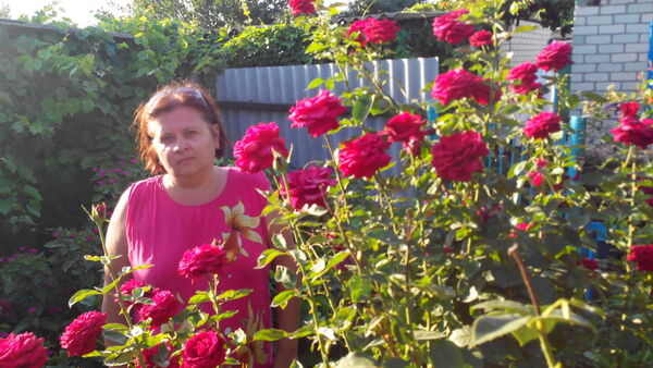  ,   , 51 ,   ,   , c 