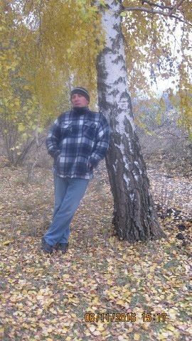  ,   , 62 ,   
