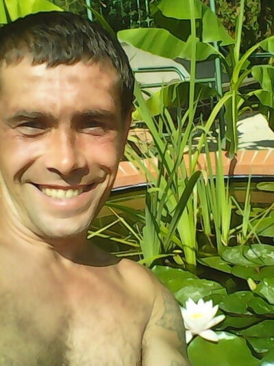  ,   , 43 ,   