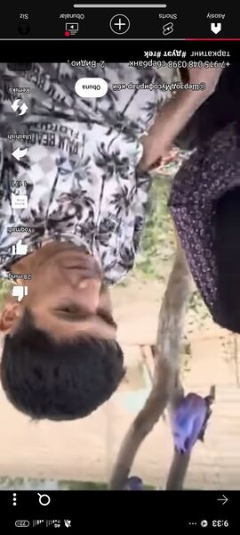  -,   , 34 ,   ,   