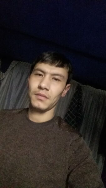  ,   Zoxid, 38 ,   ,   , c 