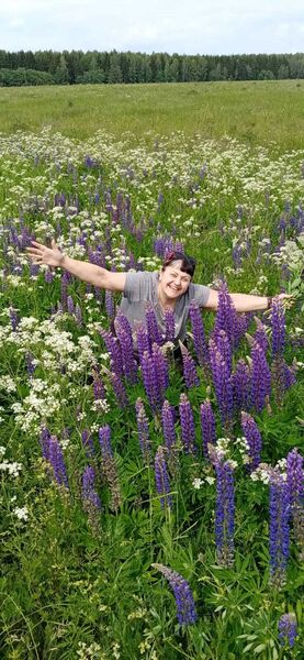  ,   Sofia, 56 ,   ,   , c 