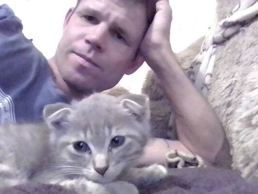  ,   , 41 ,   ,   , c , 