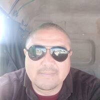  20626362  , 46 ,    