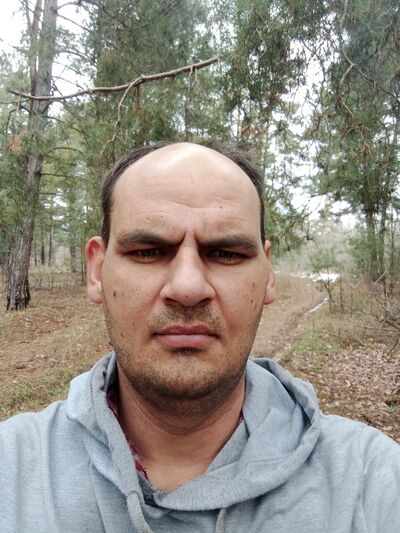  -,   , 41 ,   