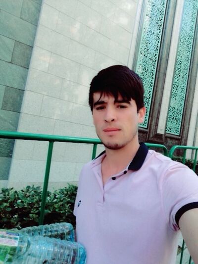  ,   Krasavchik, 31 ,   ,   , c 