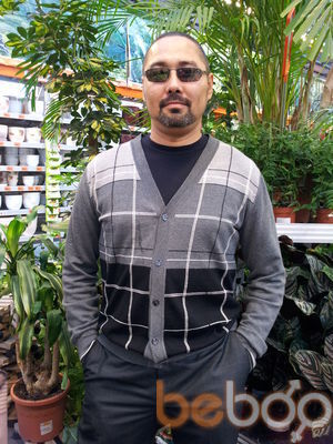  ,   Mongol, 50 ,   ,   , c 