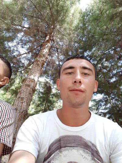  ,   , 29 ,     , c 