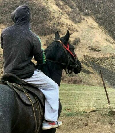 ,   Ozodjon, 24 ,   ,   