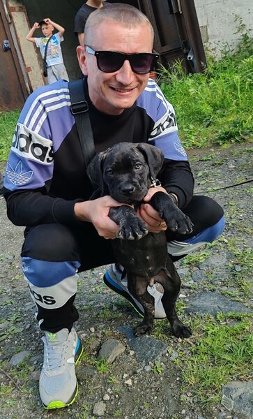  ,   , 45 ,   ,   , c 