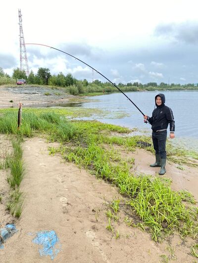  ,   Shrif, 30 ,   ,   , c 