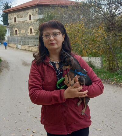  ,   , 50 ,   c , 