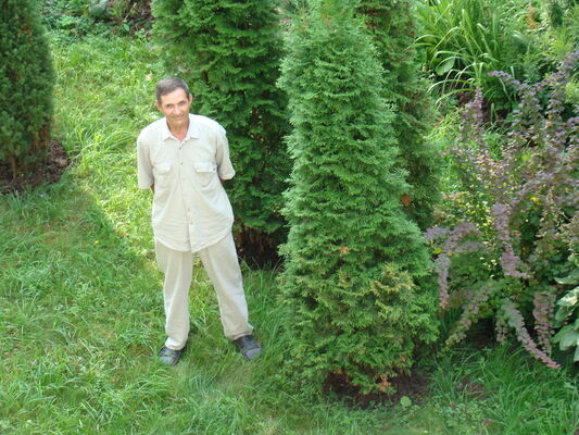  -,   , 74 ,   ,   , c 