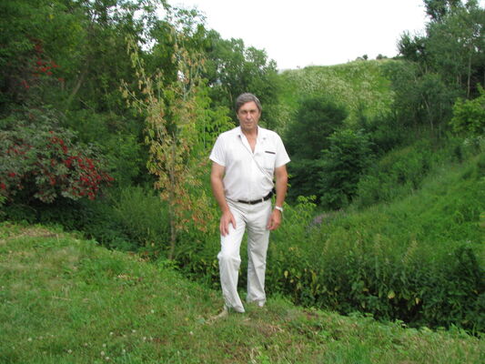  ,   , 67 ,   
