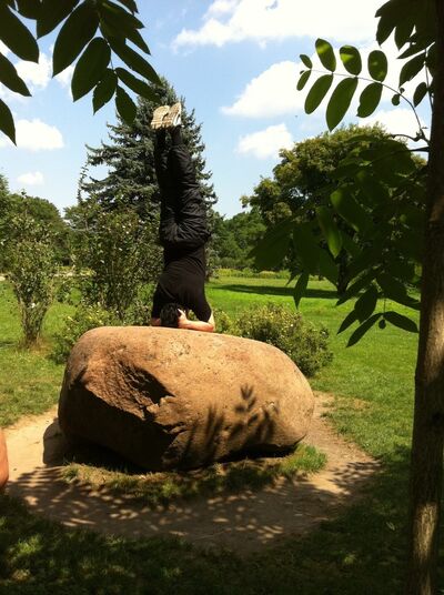  ,   MARSEL, 54 ,     , c 