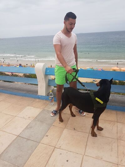  ,   Anas, 32 ,   