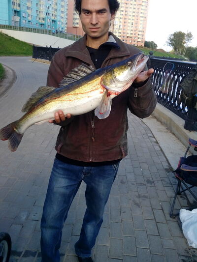  ,   Ruslan, 44 ,   ,   