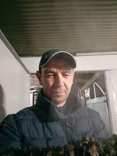  ,   , 41 ,   ,   