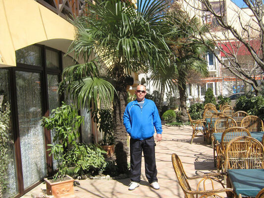  ,   , 53 ,   